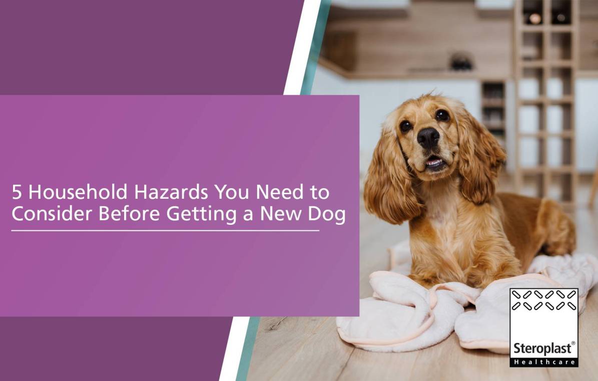 5 Household Hazards for dogs