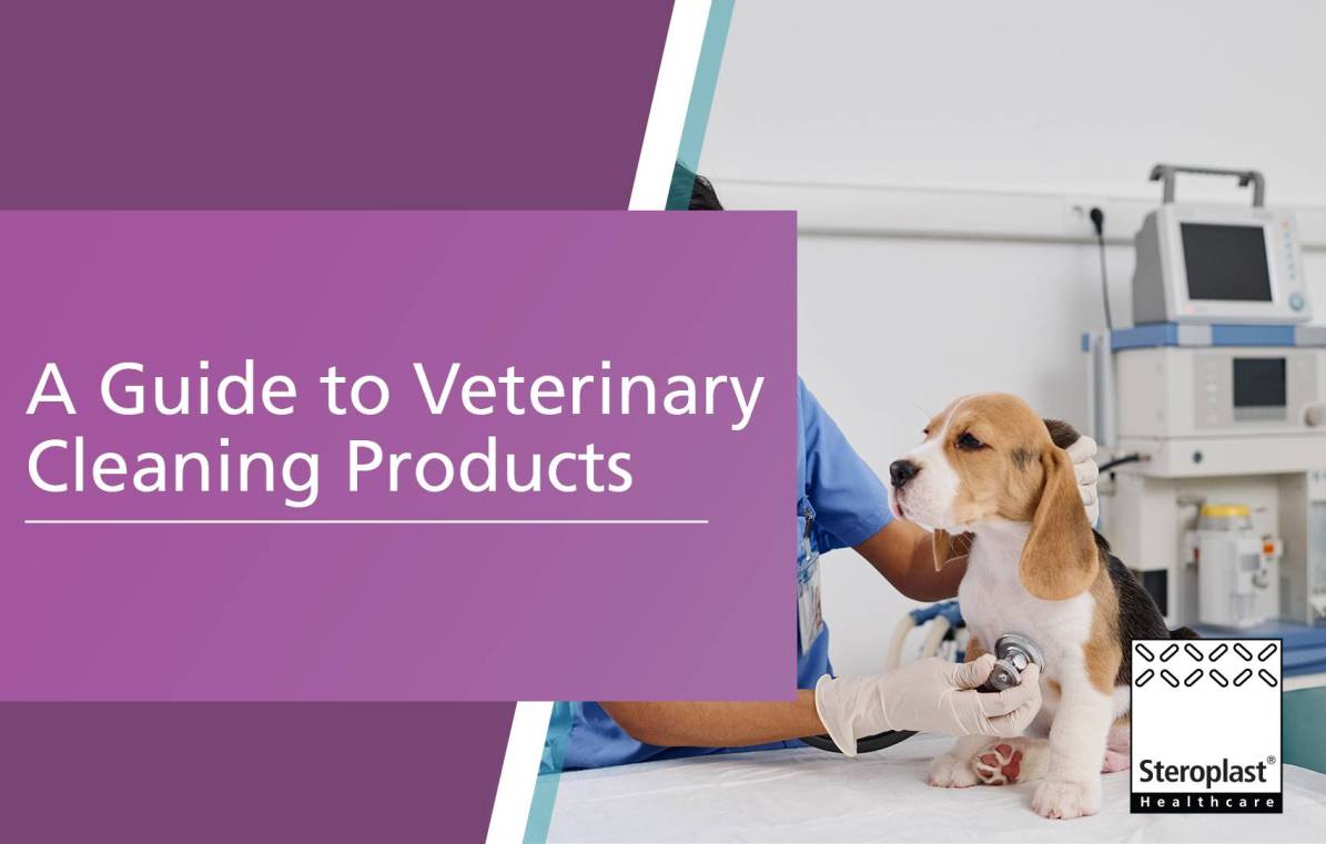 A Guide to Veterinary Cleaning Products