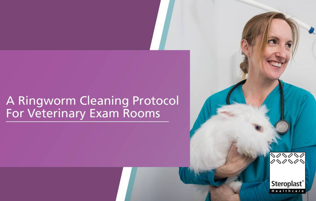 A Ringworm Cleaning Protocol For Veterinary Exam Rooms