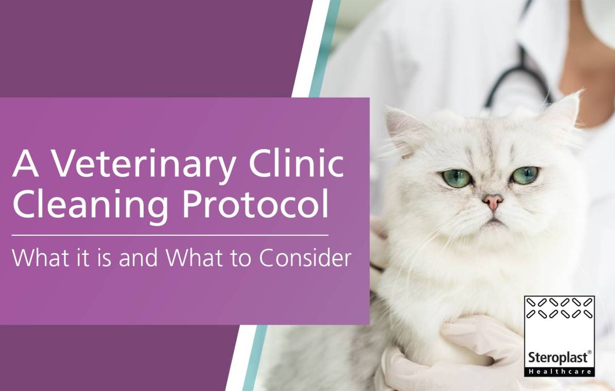 A veterinary clinic cleaning protocol: What it is and what to consider