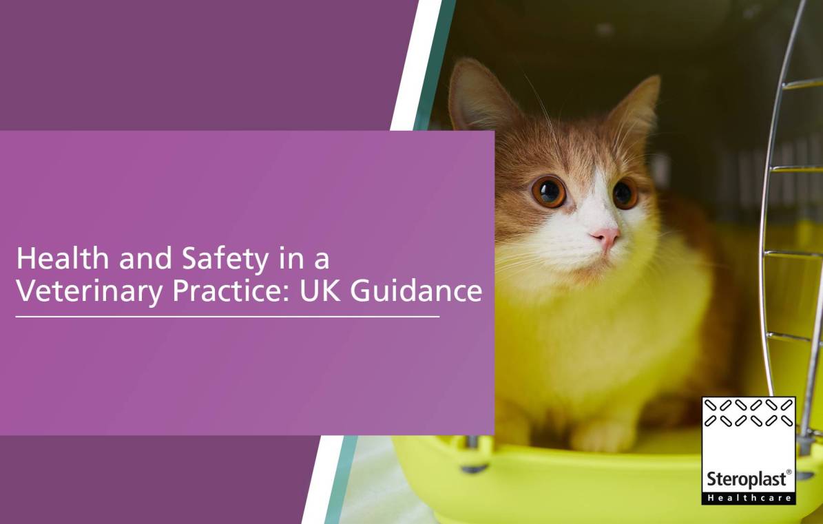Health and Safety in a Veterinary Practice: UK Guidance