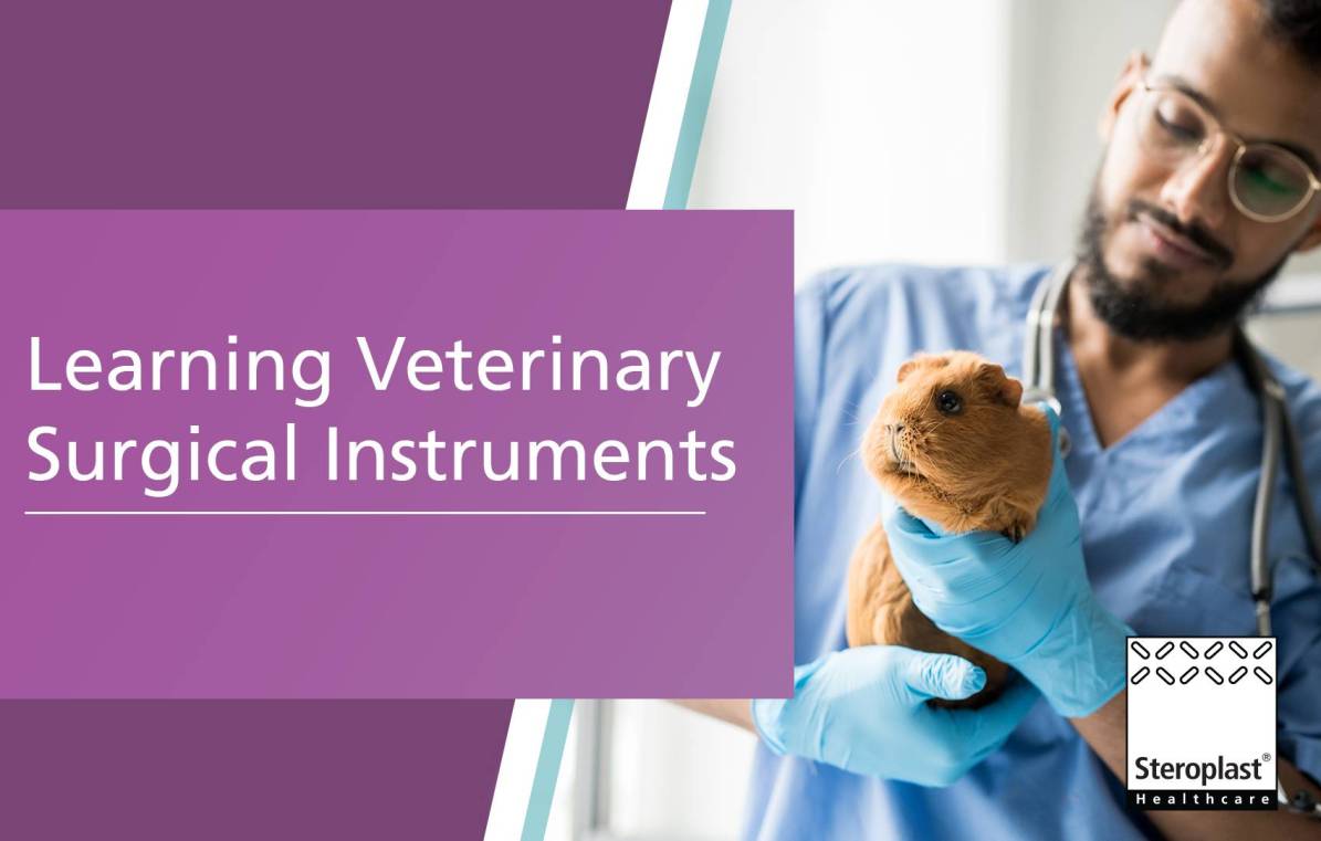 Learning Veterinary Surgical Instruments