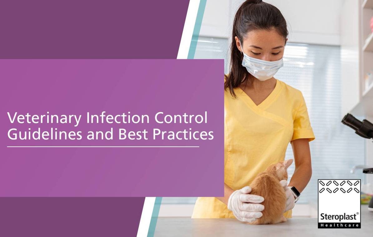 Veterinary Infection Control Guidelines and Best Practices