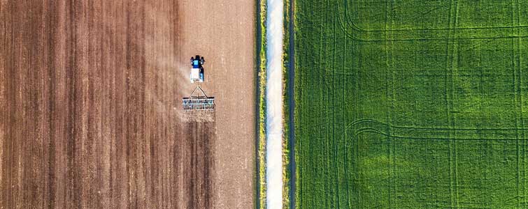 Agricultural Sector 