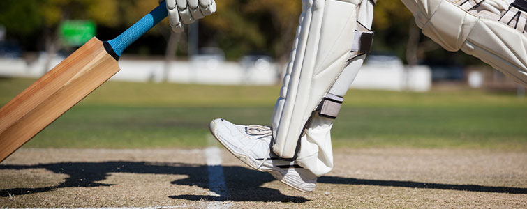 Cricket