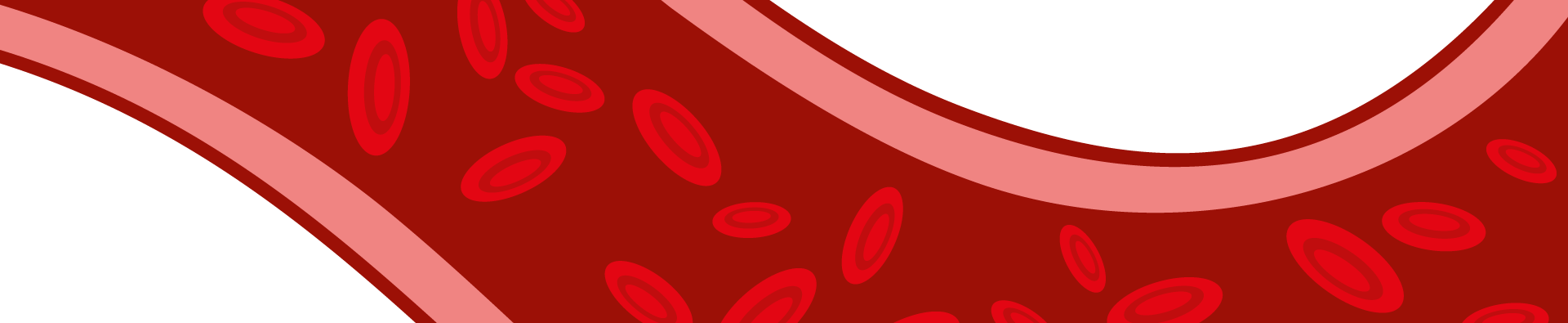 Blood vessels in artery vector image
