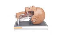 Ambu Airway Management Trainer