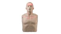 Brayden CPR Training Manikin with Red Indicator Lights
