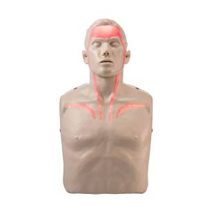 Brayden CPR Training Manikin with Red Indicator Lights
