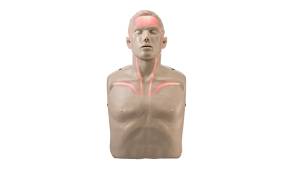 Brayden CPR Training Manikin with Red Indicator Lights
