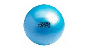 Gym Swiss Ball 55cm Diameter