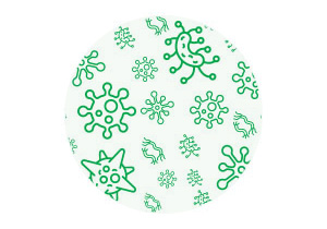 1-Bacteria-Ball