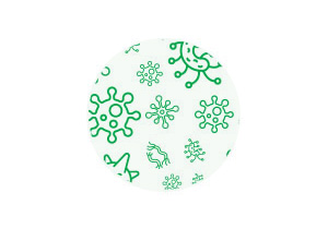 2Bacteria-Ball