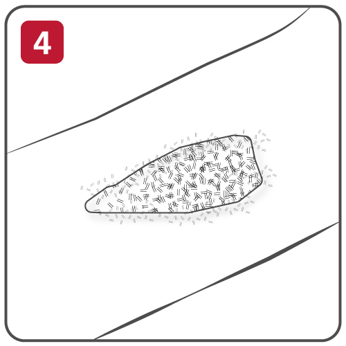 Step 4 Check the Bleeding