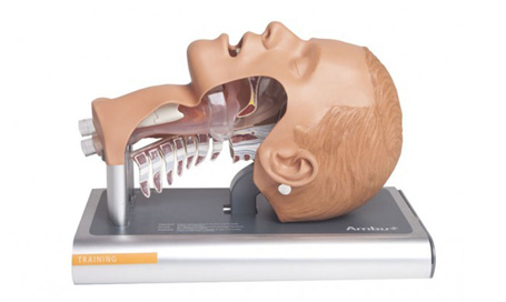 Anatomical Models