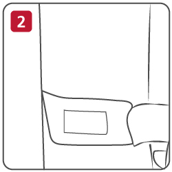 Step 2 Apply the Dressing
