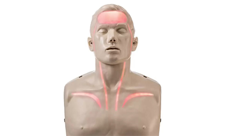 CPR Manikins & Choking Trainers
