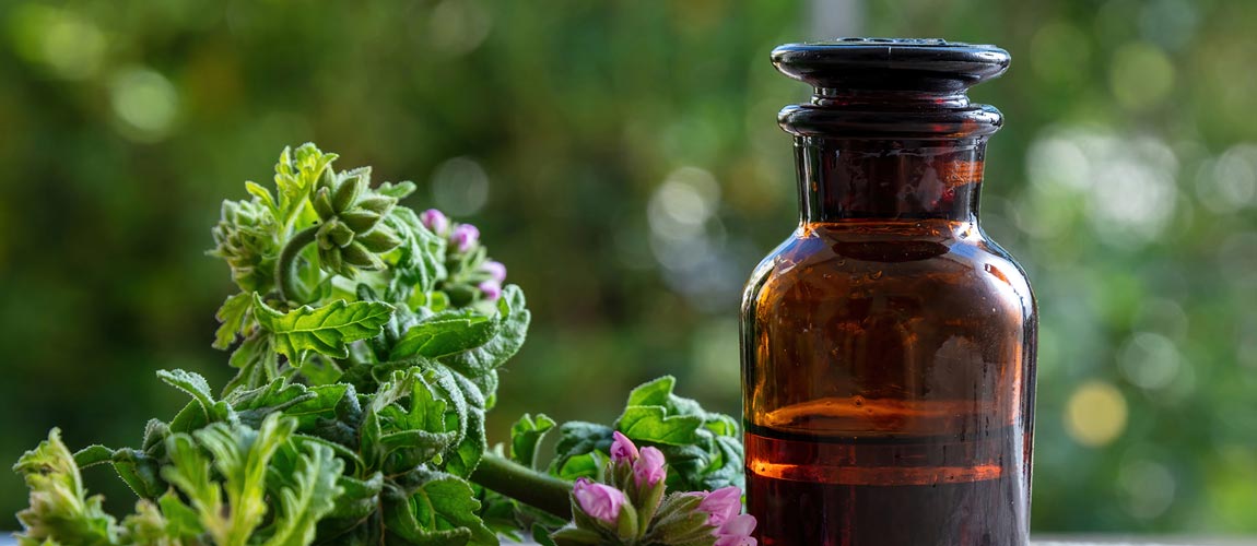 Citronella Oil