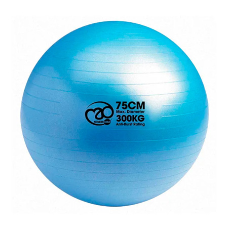 Gym Swiss Ball — 300kg 65cm