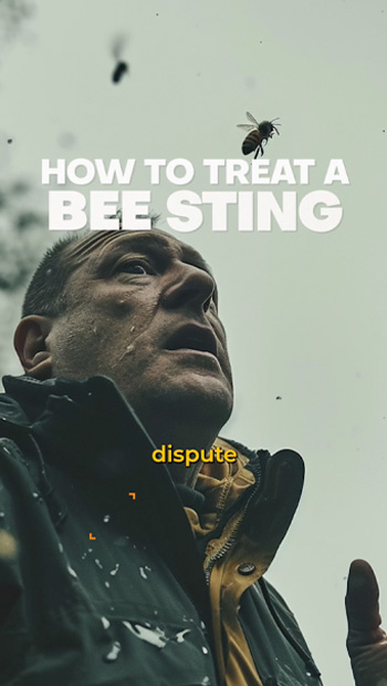 How-to-Treat-a-Bee-Sting-TikTok
