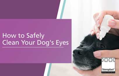 How to safely clean your dog's eyes thumbnail