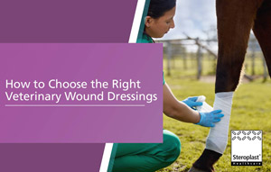 How to Choose the Right Veterinary Wound Dressings