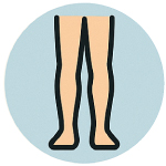 Leg Icon