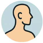 Neck Icon