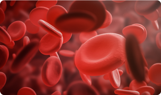 Red Blood Cells