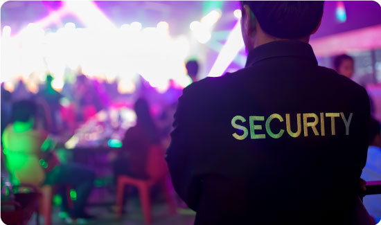 Security at concert