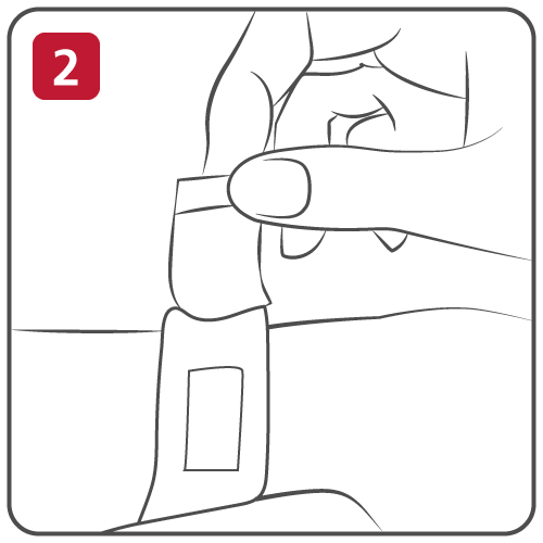 Step 2 Apply the Dressing
