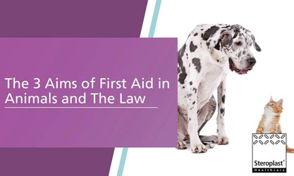 A Great Dane and a cat sitting side by side on a white background. Text on a purple overlay reads: 'The 3 Aims of First Aid in Animals and The Law.