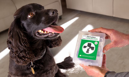 A black spaniel sitting indoors with its tongue out, while a person holds up a Stero-Paws Animal First Aid Kit. The kit has a green label with a white cross.