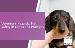 Veterinary Hazards: Staff Safety in Clinics and Practices