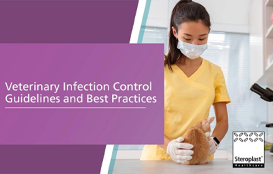 A veterinarian wearing gloves and a face mask while holding a small cat in a clinic, with the title 'Veterinary Infection Control Guidelines and Best Practices' shown.