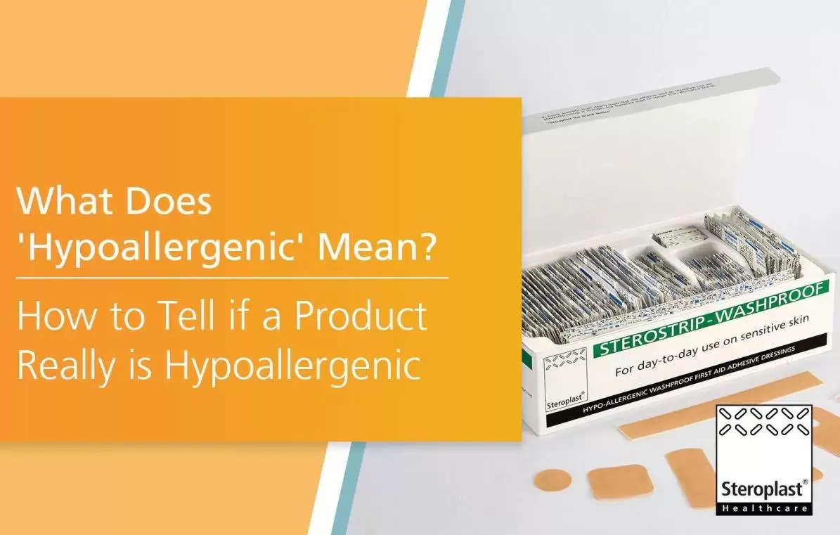 What_Does_Hypoallergenic_Mean_How_to_Tell_if_a_Product_Really_is_Hypoallergenic_copy