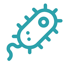 Teal-colored bacteria icon with a tail