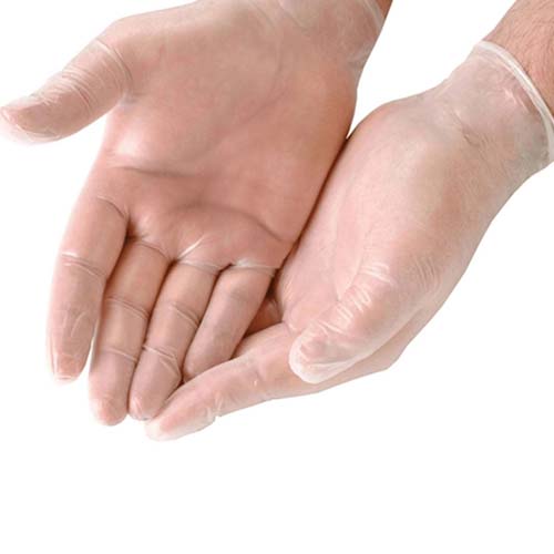Close-up of two hands wearing transparent disposable vinyl gloves, with palms facing up. The gloves have a smooth, slightly loose fit, displayed against a plain white background.
