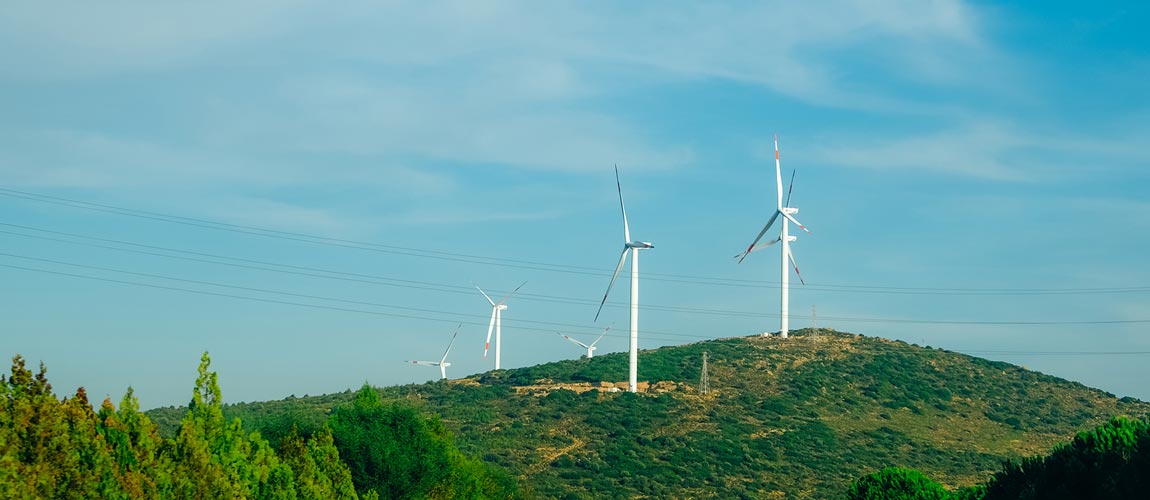 wind-powered electrical generator