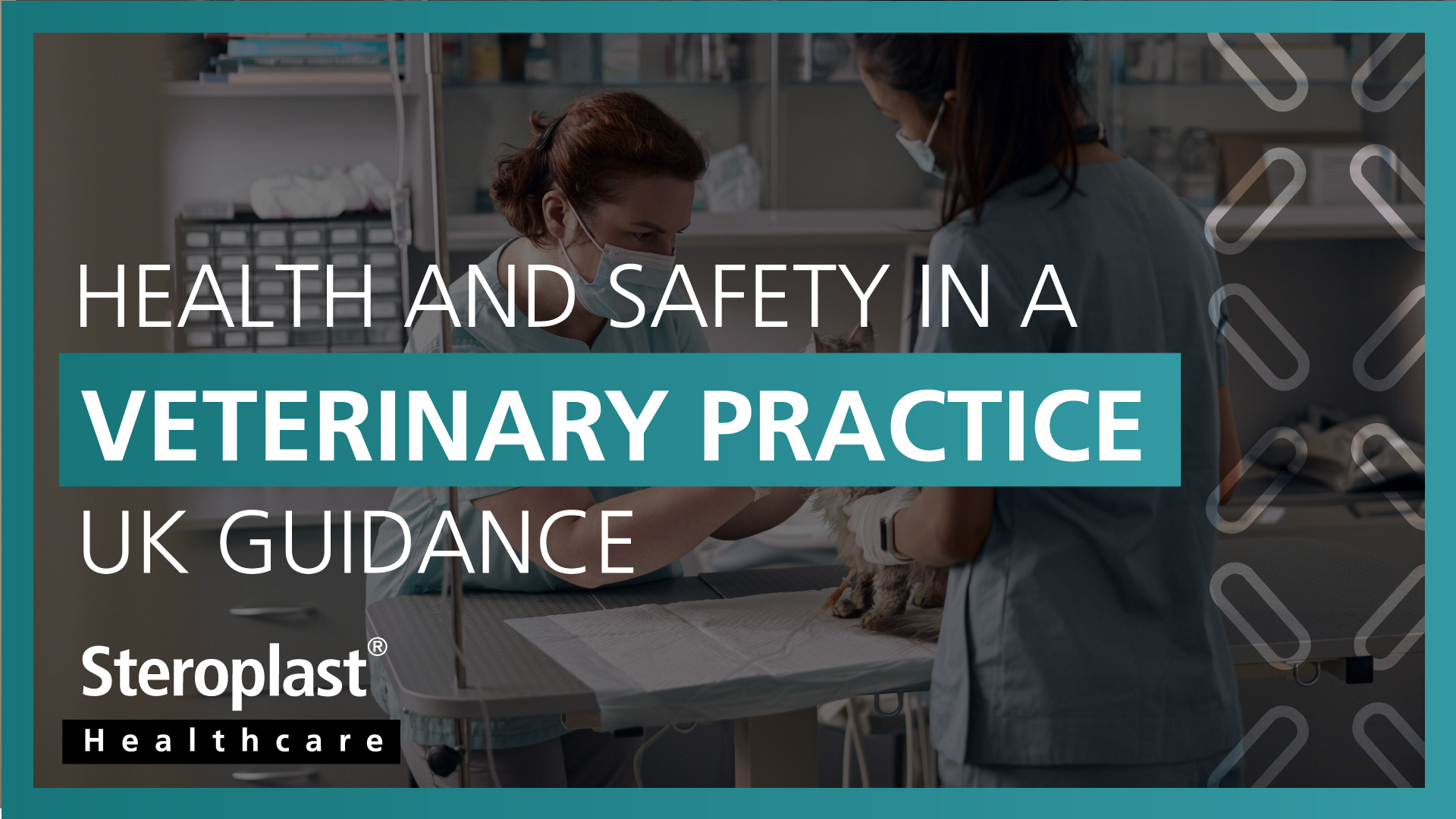 Health_and_Safety_in_a_Veterinary_Practice_UK_Guidance