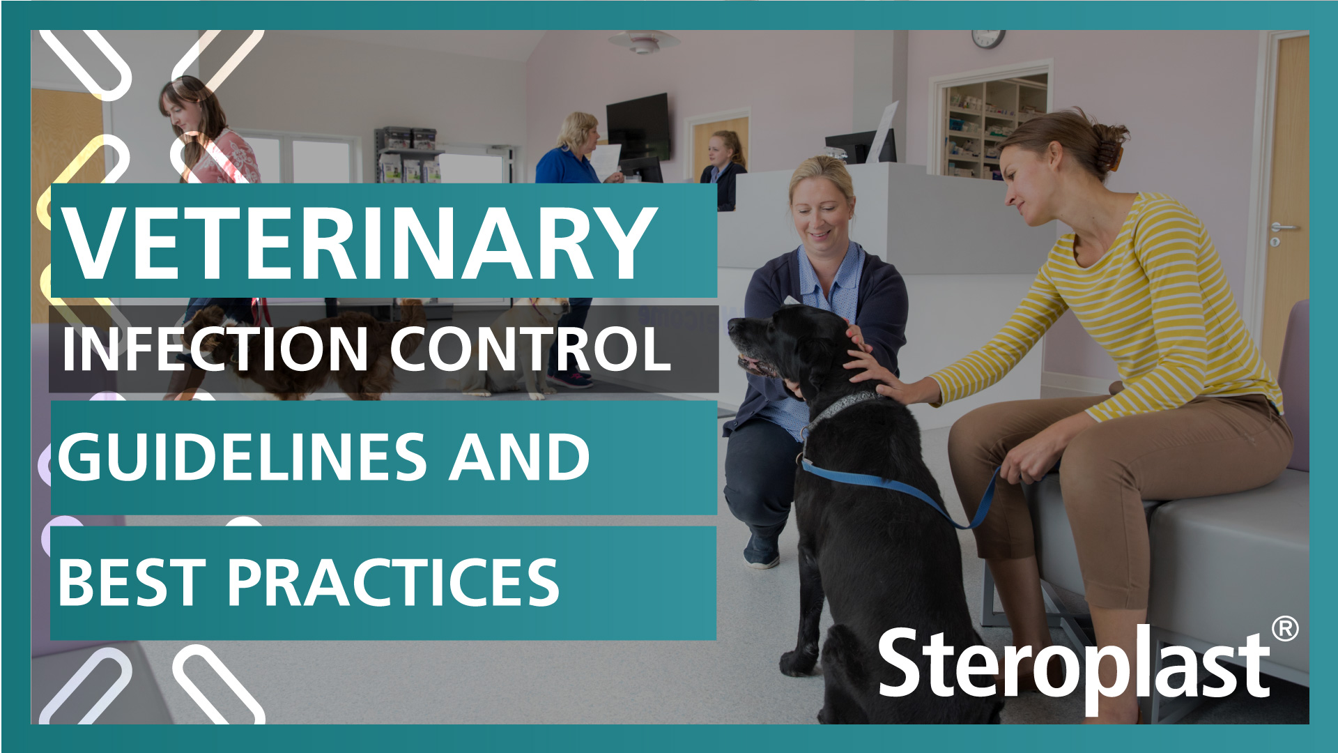 Veterinary-Infection-Control-Guidelines-and-Best-Practices