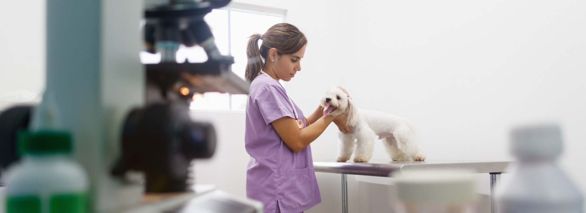 Veterinary nurse with dog in clinic room